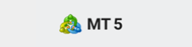 MT5软件下载